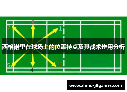 西格诺里在球场上的位置特点及其战术作用分析
