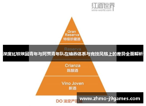 深度比较埃因青年与阿贾青年队在培养体系与竞技风格上的差异全面解析