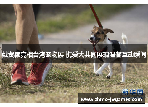 戴资颖亮相台湾宠物展 携爱犬共同展现温馨互动瞬间 戴资颖亮相台湾宠物展 携爱犬共同展现温馨互动瞬间