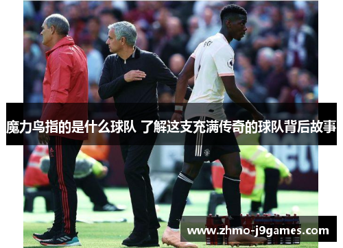 魔力鸟指的是什么球队 了解这支充满传奇的球队背后故事 魔力鸟指的是什么球队 了解这支充满传奇的球队背后故事